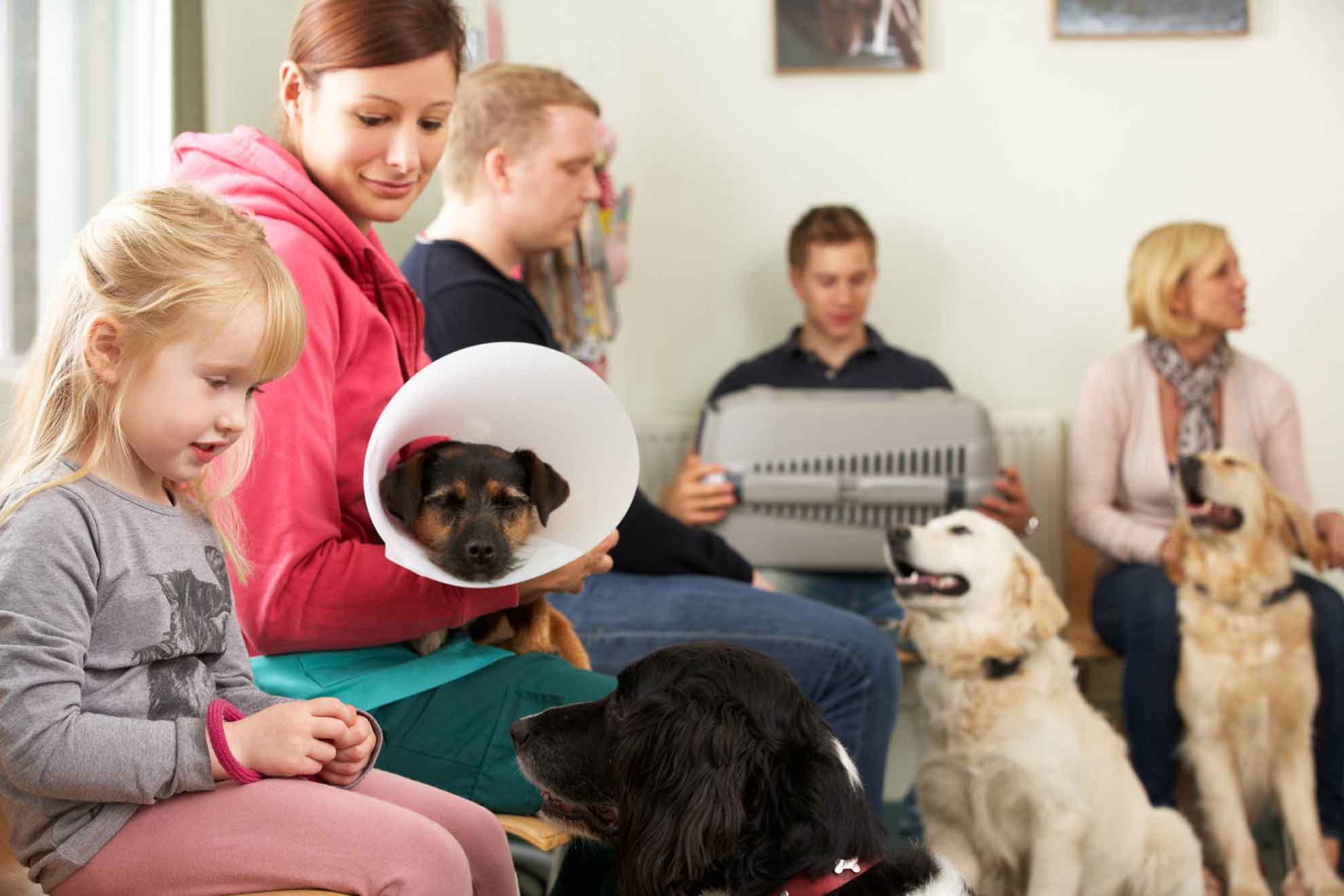 Pet owners and their dogs in a busy veterinary clinic