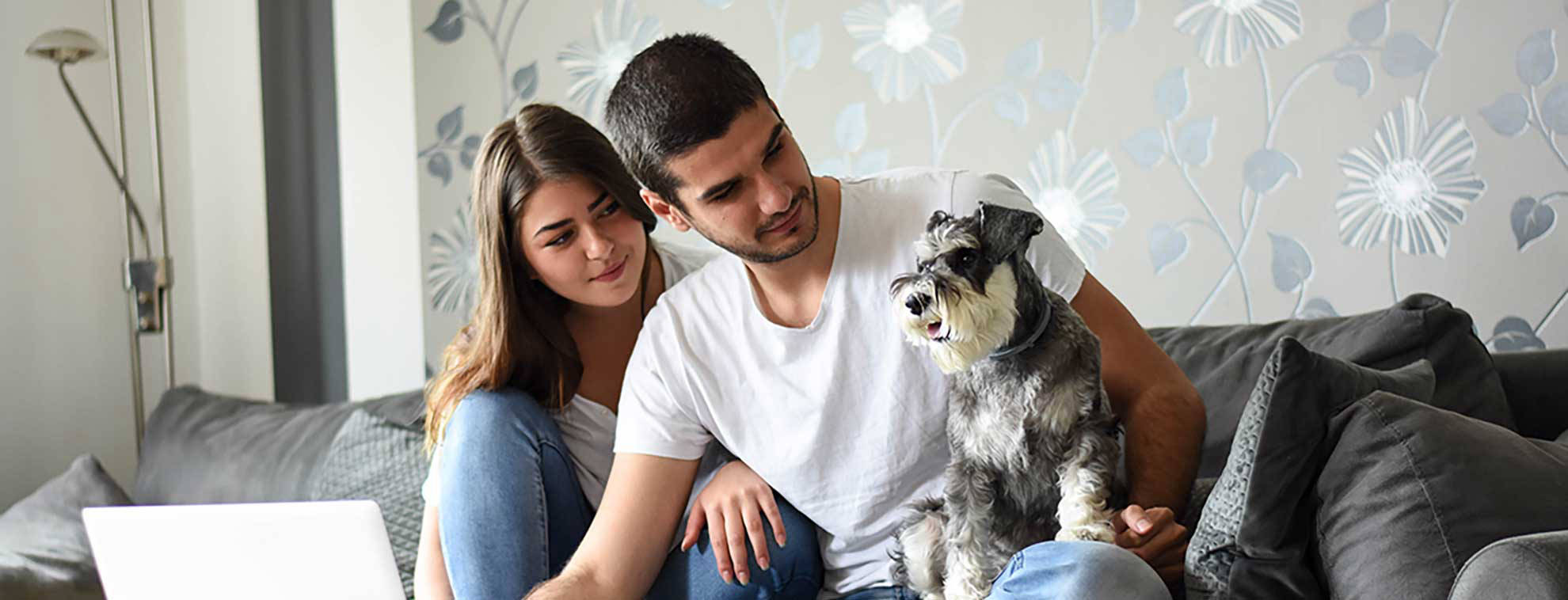 A couple researching pet care online with their dog